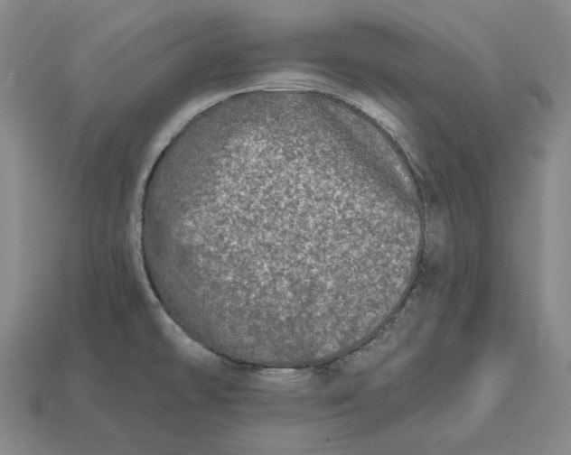 X0000113121478200909181639