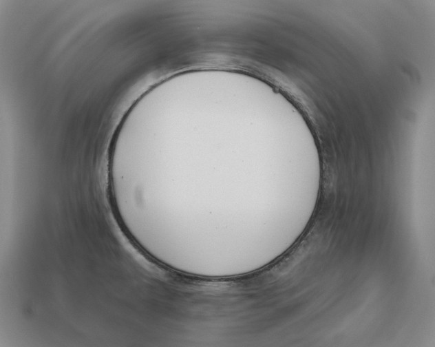 X0000113121479200909181639