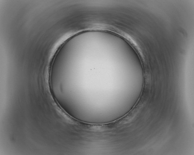 X0000113121480200909181639