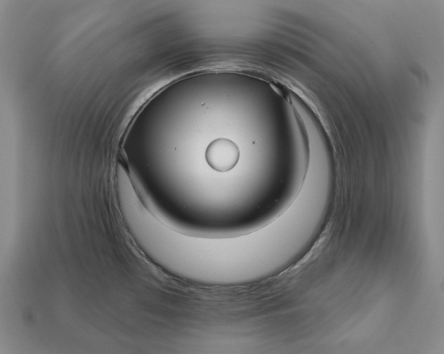 X0000113121481200909181639