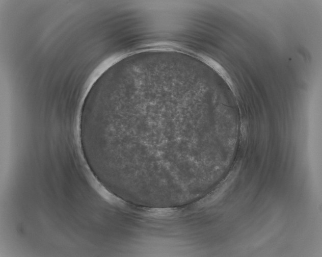 X0000113121482200909181639