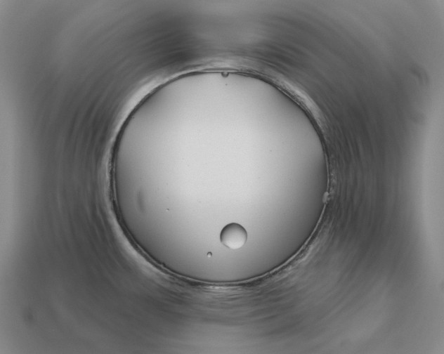 X0000113121483200909181639