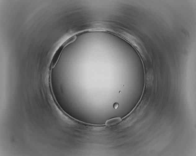 X0000113121484200909181639