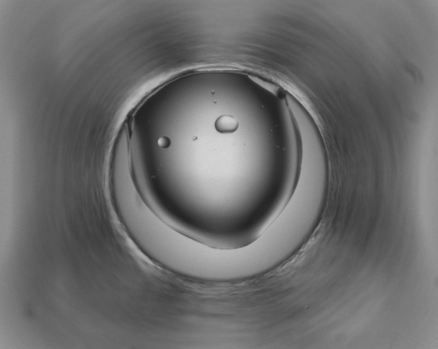 X0000113121485200909181639