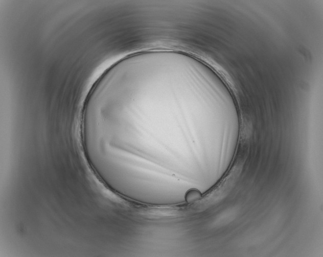 X0000113121486200909181639