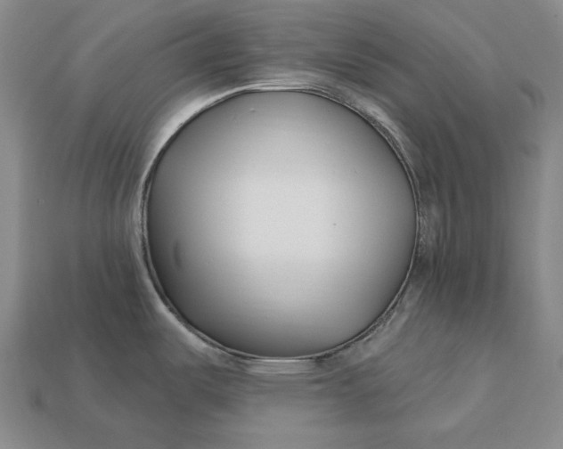 X0000113121487200909181639