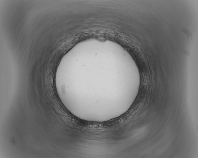 X0000113121489200909181638