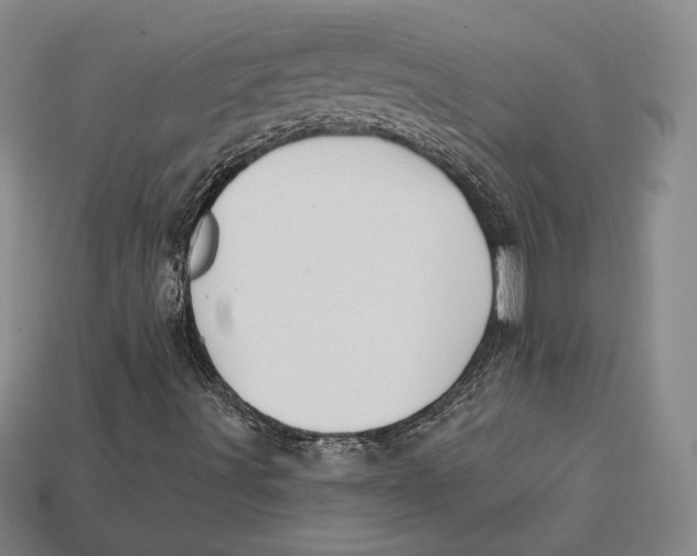 X0000113121491200909181638