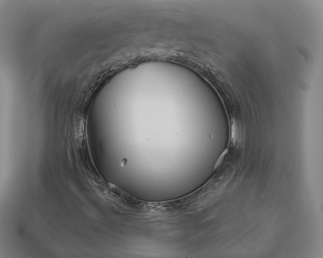 X0000113121492200909181638