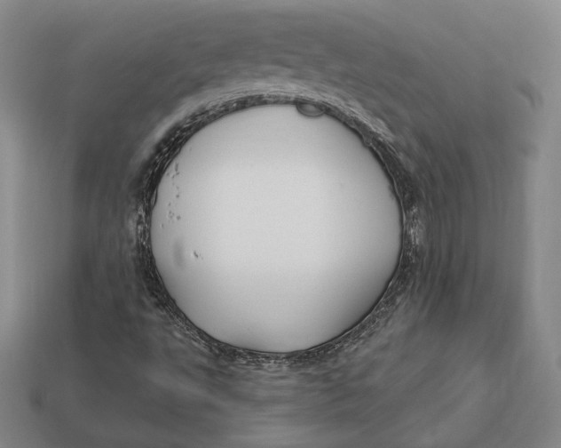 X0000113121495200909181638