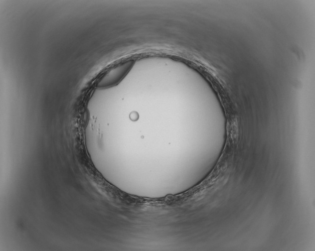 X0000113121496200909181638