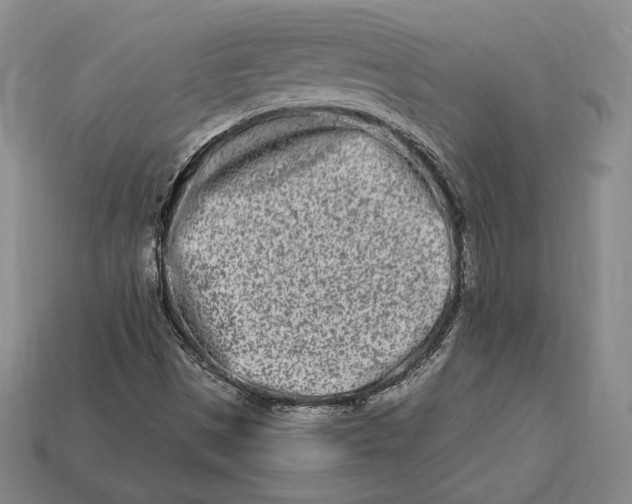 X0000113121497200909181638