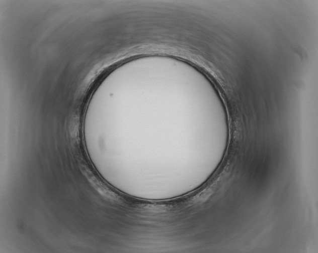 X0000113121499200909181638