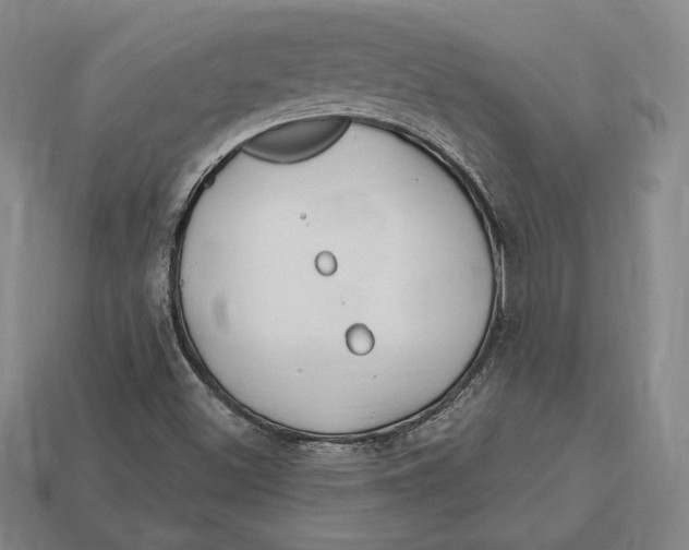 X0000113121500200909181638