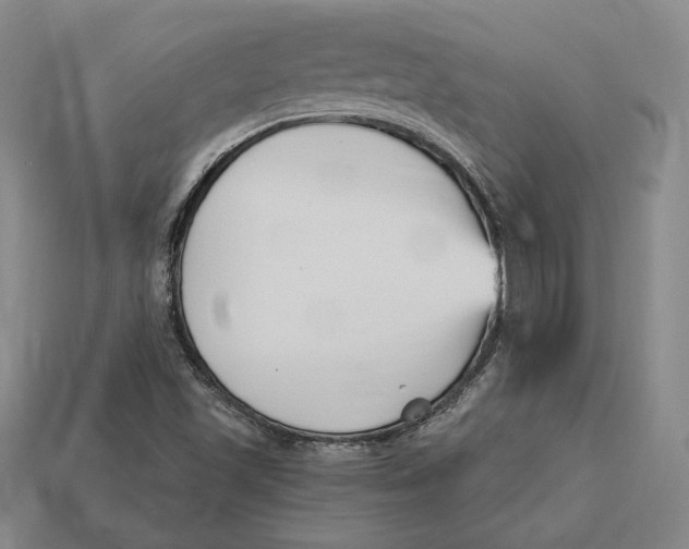 X0000113121501200909181638