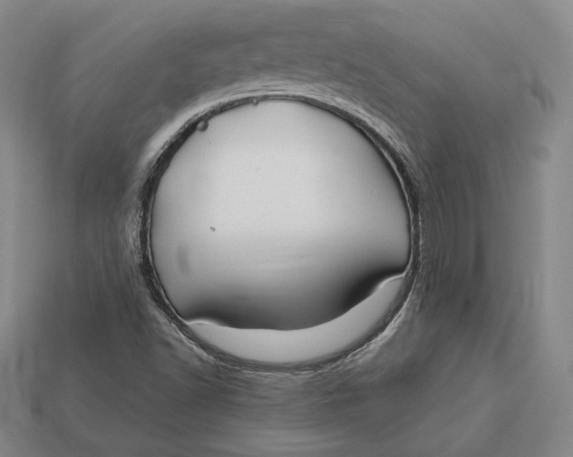 X0000113121502200909181638