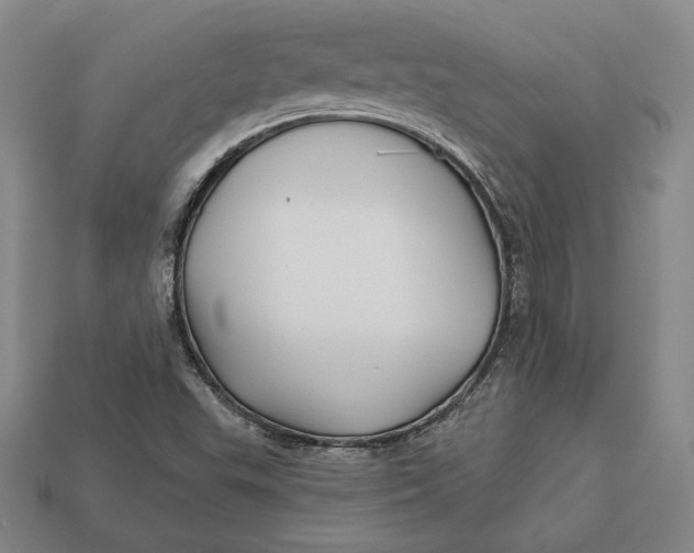 X0000113121503200909181638