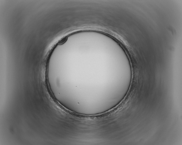 X0000113121504200909181638