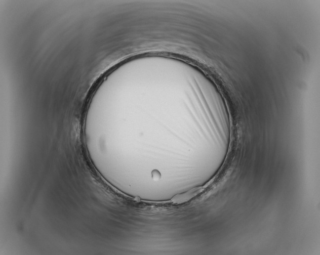 X0000113121505200909181638