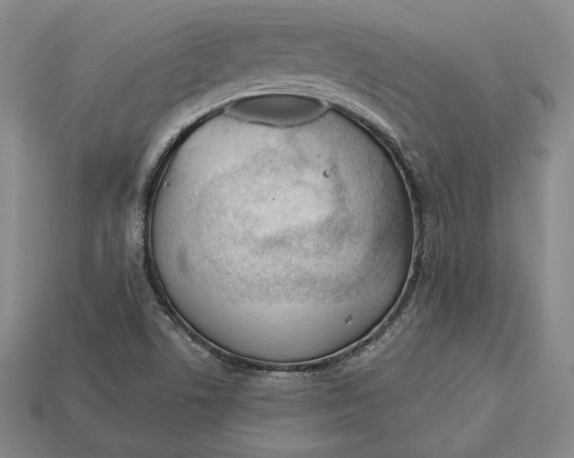 X0000113121506200909181638