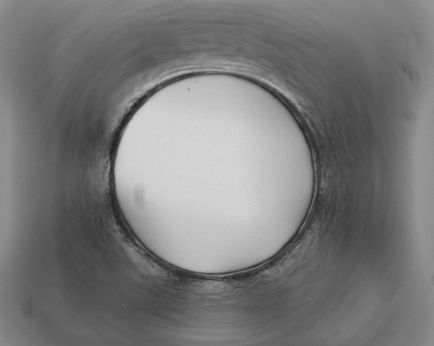 X0000113121507200909181638