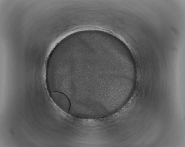 X0000113121508200909181638