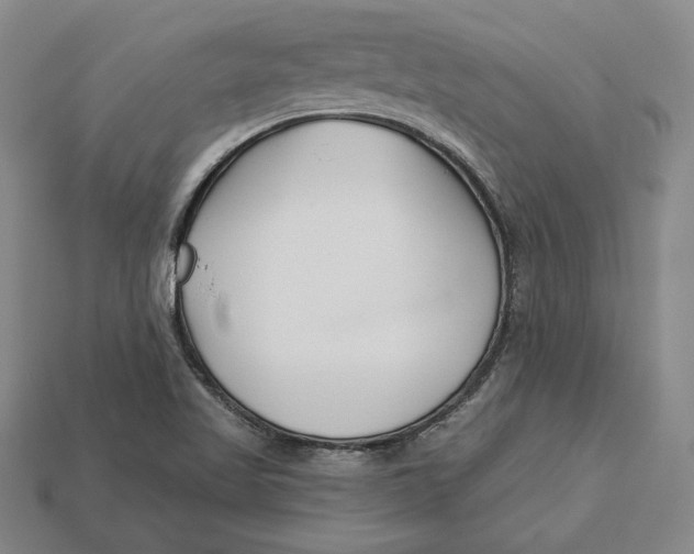 X0000113121509200909181638