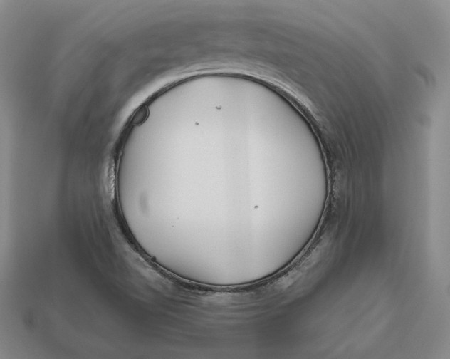 X0000113121510200909181638