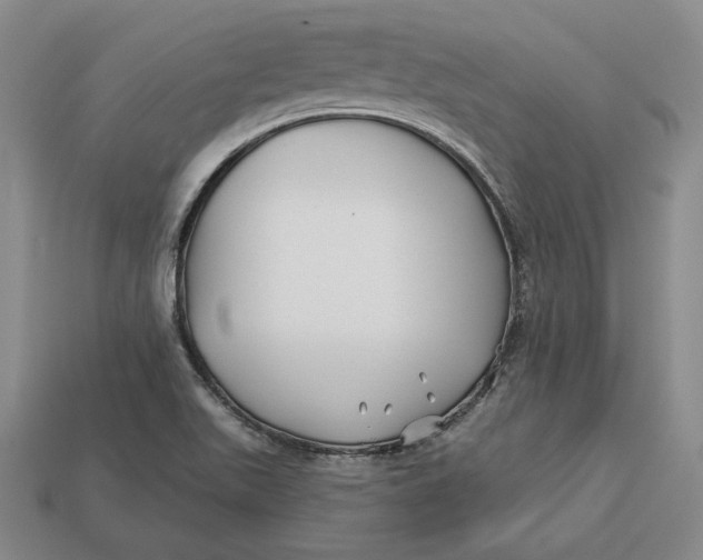 X0000113121511200909181638