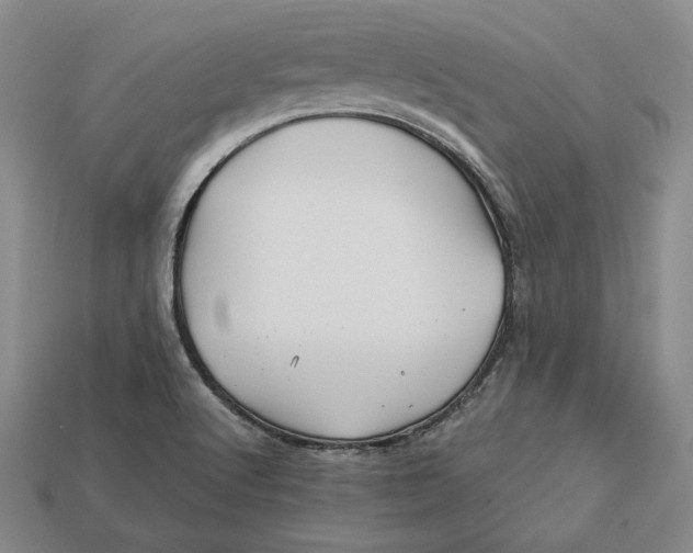 X0000113121512200909181638