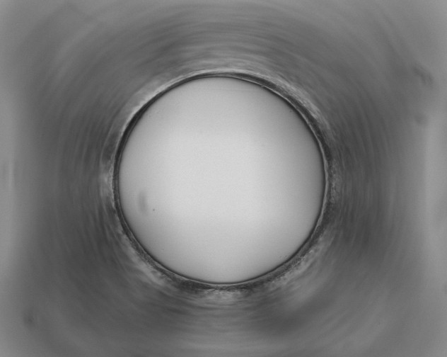 X0000113121513200909181638