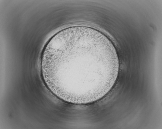 X0000113121514200909181638