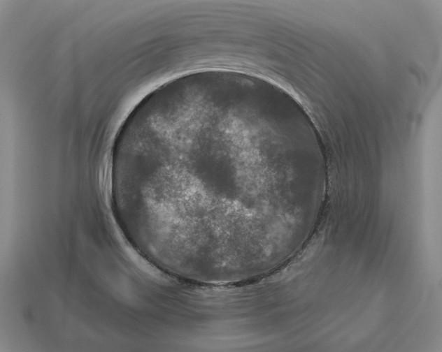 X0000113121515200909181638