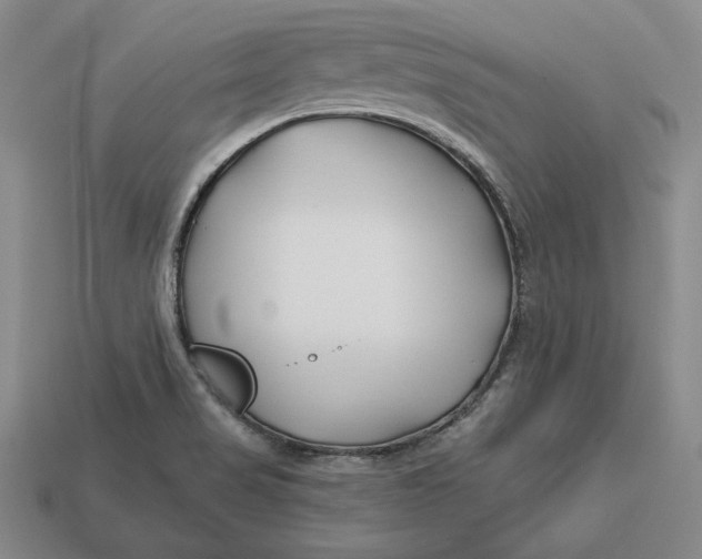 X0000113121517200909181638