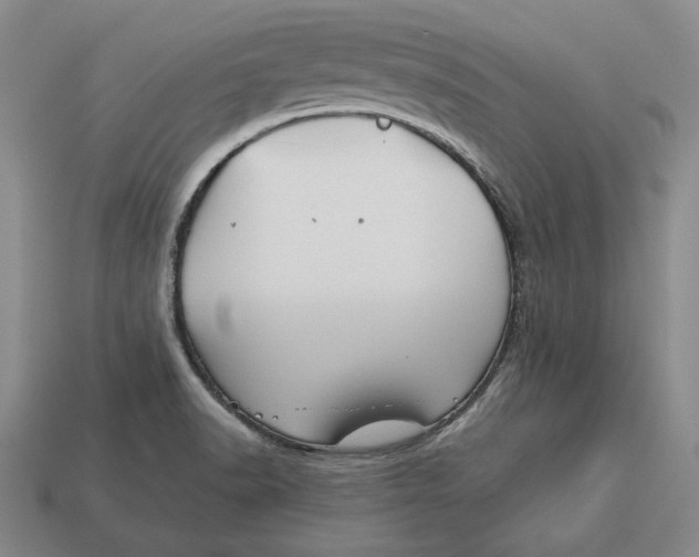 X0000113121518200909181638