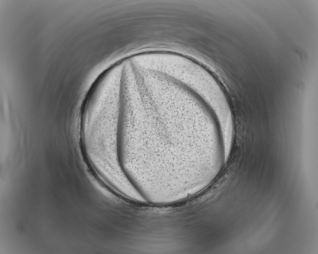 X0000113121519200909181638