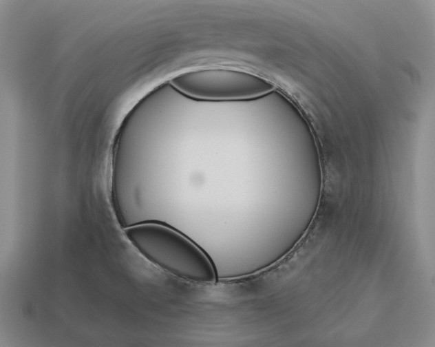 X0000113121520200909181638