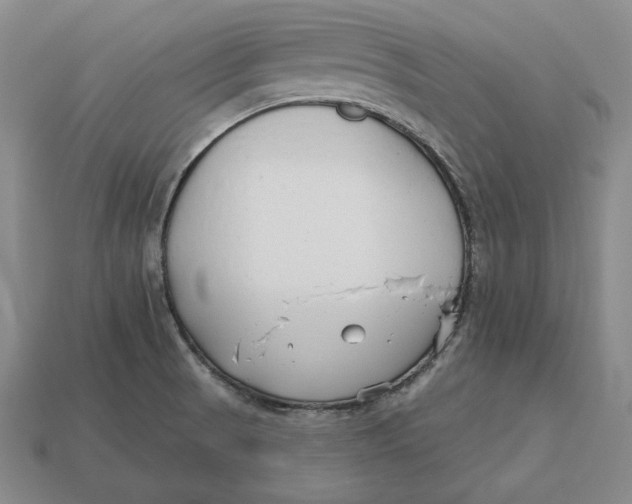 X0000113121521200909181638