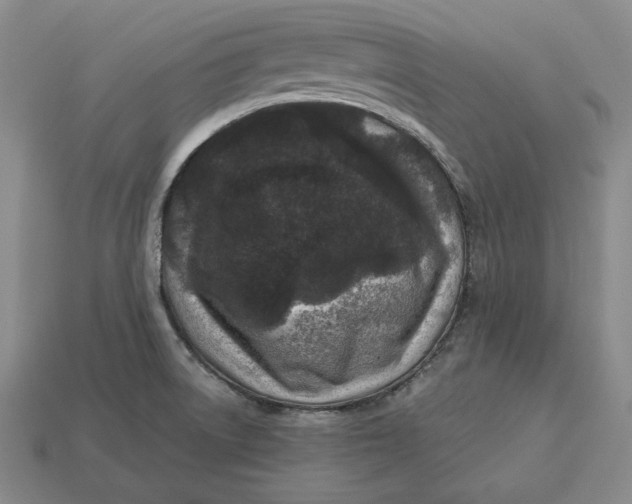 X0000113121522200909181638