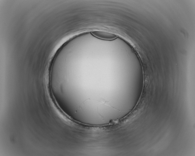 X0000113121523200909181638