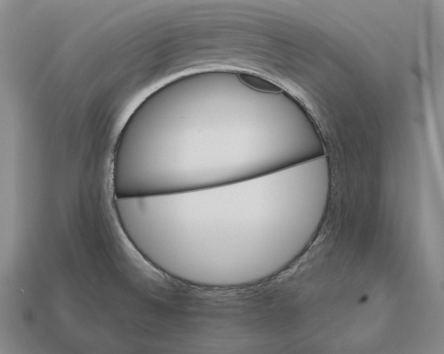 X0000113121524200909181638