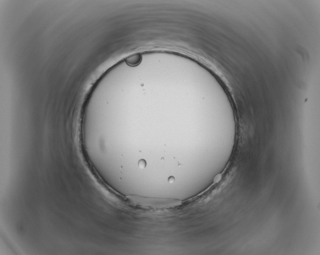 X0000113121525200909181638