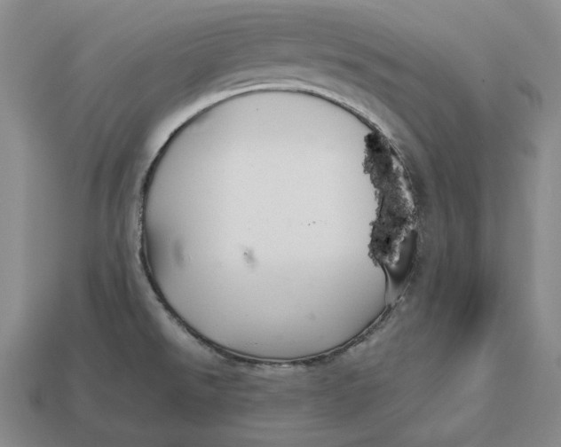 X0000113121526200909181638