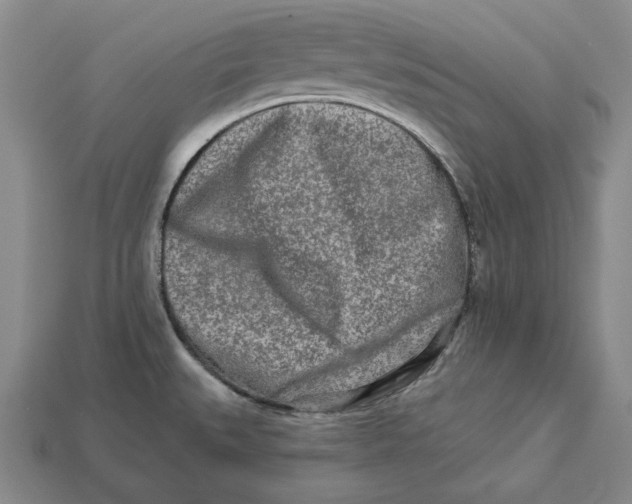 X0000113121527200909181638