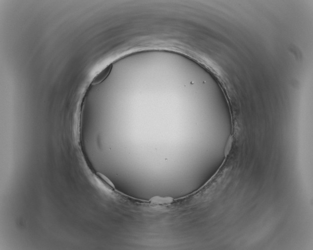 X0000113121528200909181638