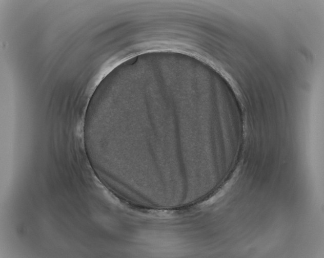 X0000113121529200909181638