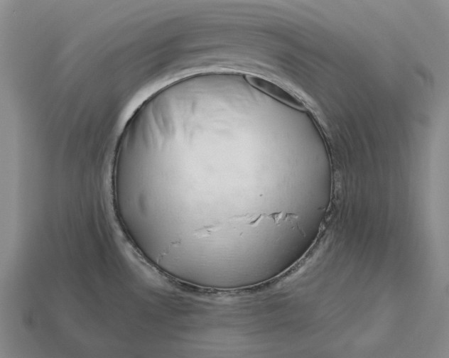 X0000113121530200909181638