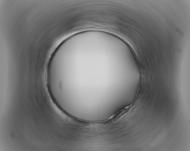 X0000113121531200909181638