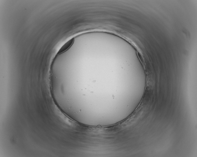 X0000113121532200909181638