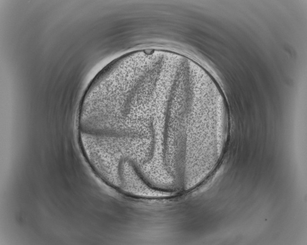 X0000113121533200909181638